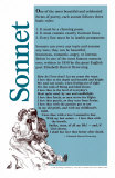 Sonnet