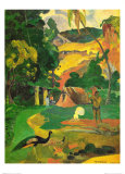 Matamoe