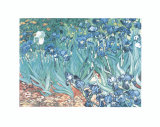 Irises  Saint-Remy  c1889