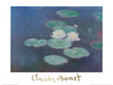 Water Lilies by Nightfall