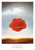 Rose Meditative  c1958