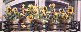 Yellow Pansies