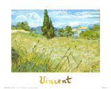 Wheatfield with Cypresses  c1889