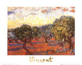 The Olive Grove  c1889