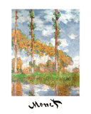 Poplars at Giverny