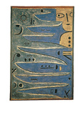 Der Graue und Die Kuste  c1938