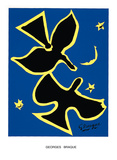 Oiseau Noir sur Fond Bleu