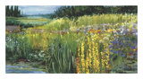 Meadow V