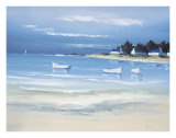 Coastal Inlet II