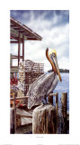 Pelican Key
