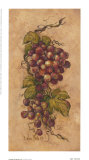 Vintage Grapevine II