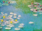 Water Lilies  c1908 (detail)