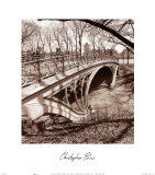Central Park Bridge III