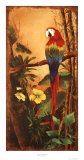 Exotic Birds II