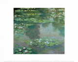 Waterlilies I 1905
