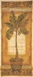 Palmera Banana