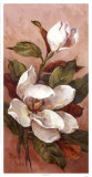 Magnolia Accents II