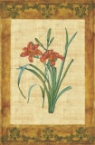 Key West Lily I
