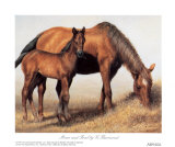 Mare and Foal