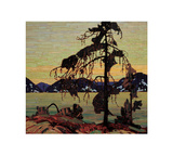 The Jack Pine
