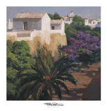 Barca y Palmeras