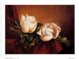Magnolia Vignette ll