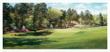 Augusta  11th Thru 12th