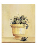 Artichokes