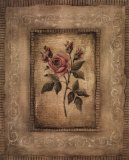 Grand Savin Rose