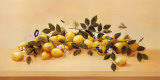 Lemons and Blossoms
