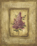 Grand Savin Lilac