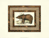 Rustic Bear