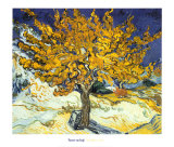 Mulberry Tree  c1889