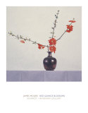 Red Quince Blossoms