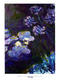 Water Lilies and Agapanthus  1914-1917