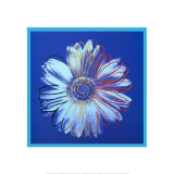 Daisy  c1982 (Blue on Blue)