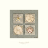 Tidal Treasures II