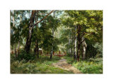 In the Park