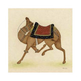 Camel from India I