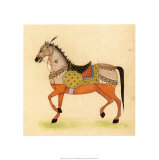 Horse from India I
