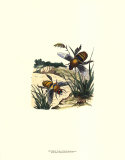 Flight of the Bee I