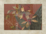 Coral Orchids II