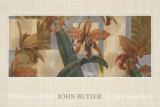 Orchid Screens II