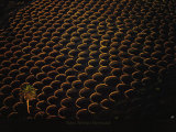 Vignes  Region de Geria  Lanzarote