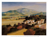 Fields of Provence II