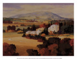 Fields of Provence I