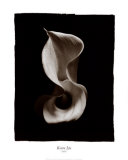 Still Life No 239