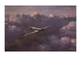 Flight of Freedom