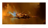 Spitfire