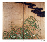 Flowering Plants of Summer
